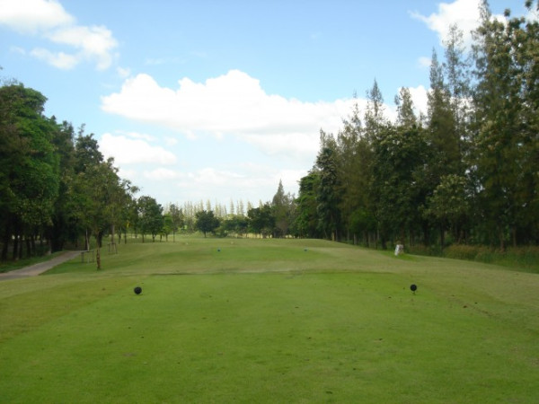d8c9a17a1e60de5890da081b6b6af629_1778730826_8469.jpg
