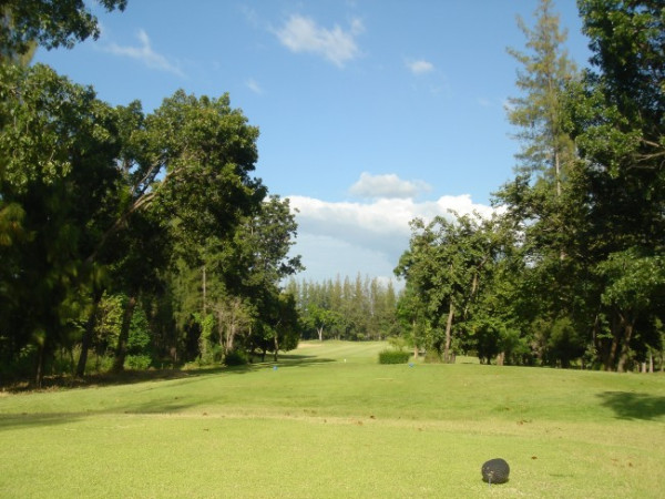 d8c9a17a1e60de5890da081b6b6af629_1778731544_6467.jpg