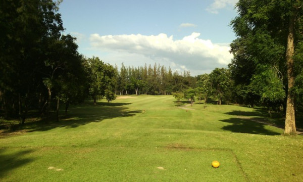 d8c9a17a1e60de5890da081b6b6af629_1778731545_5432.jpg
