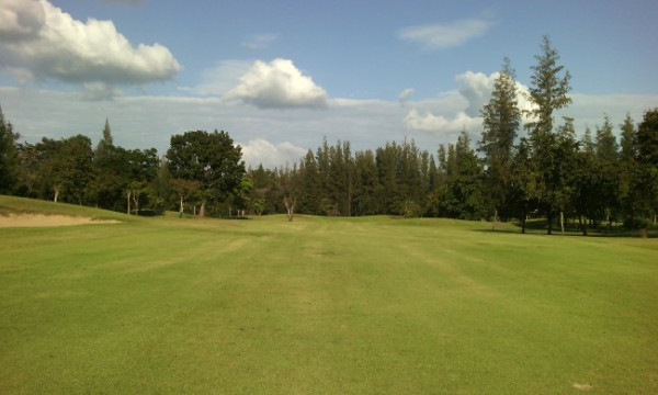 d8c9a17a1e60de5890da081b6b6af629_1778731639_6461.jpg