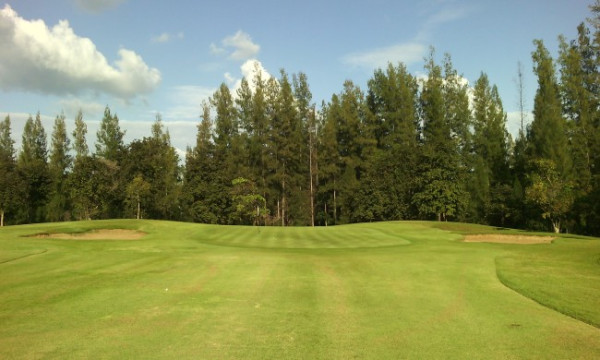 d8c9a17a1e60de5890da081b6b6af629_1778731641_6419.jpg